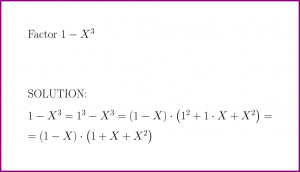 Factor 1 - X^3 (problem with solution)
